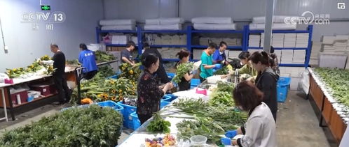 传统融合新潮，碰撞出假日经济的“艾火新花”